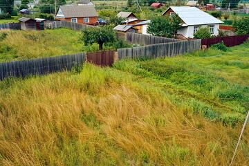 Трава должна быть не выше 20 см, стройматериалы во дворе &ndash; сложены. Что еще изменилось в правилах благоустройства?